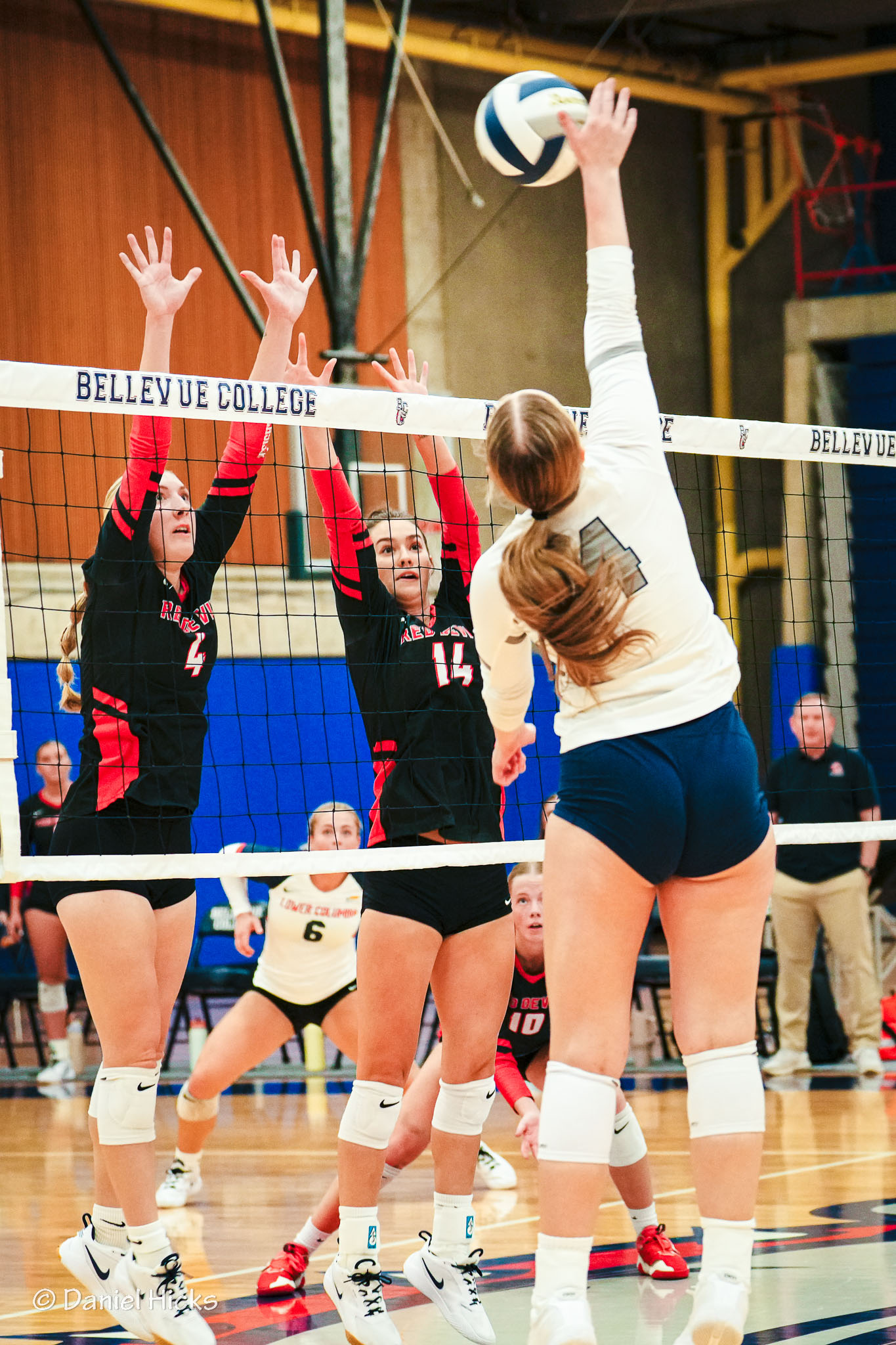 Women's Volleyball - Bellevue College