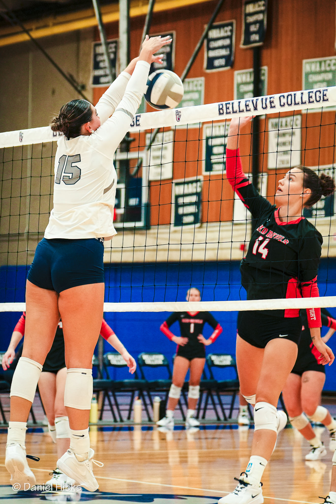 Women's Volleyball - Bellevue College