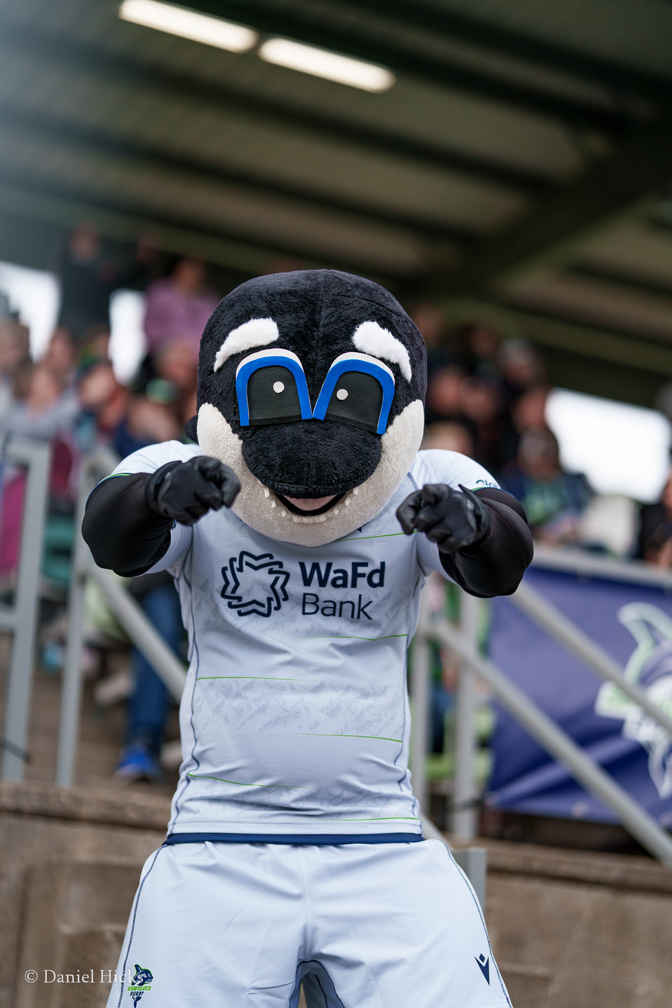 Seattle Seawolves2